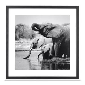 NAMIBIA ELEPHANTS PRINT WD111