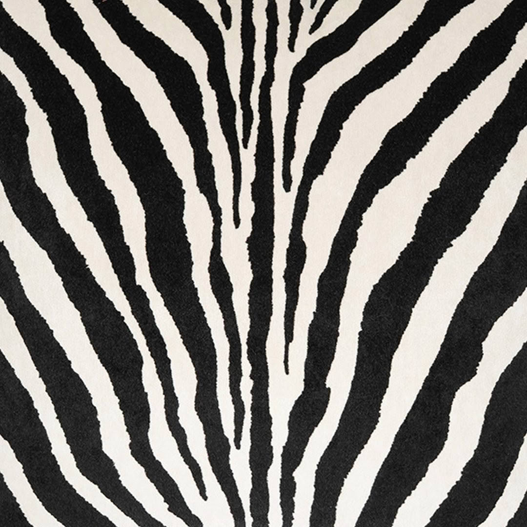 ZEBRA TEXTURE