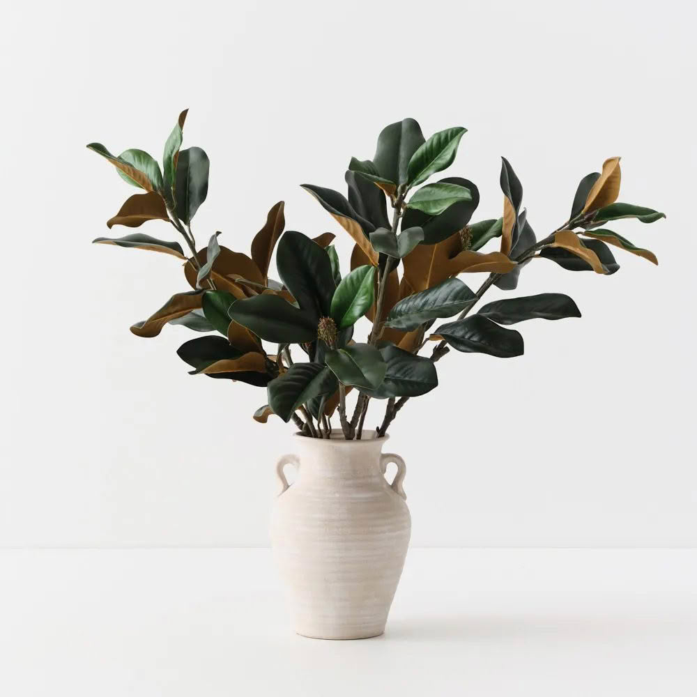 Magnolia-Leaf-Mix-in-Pot-2