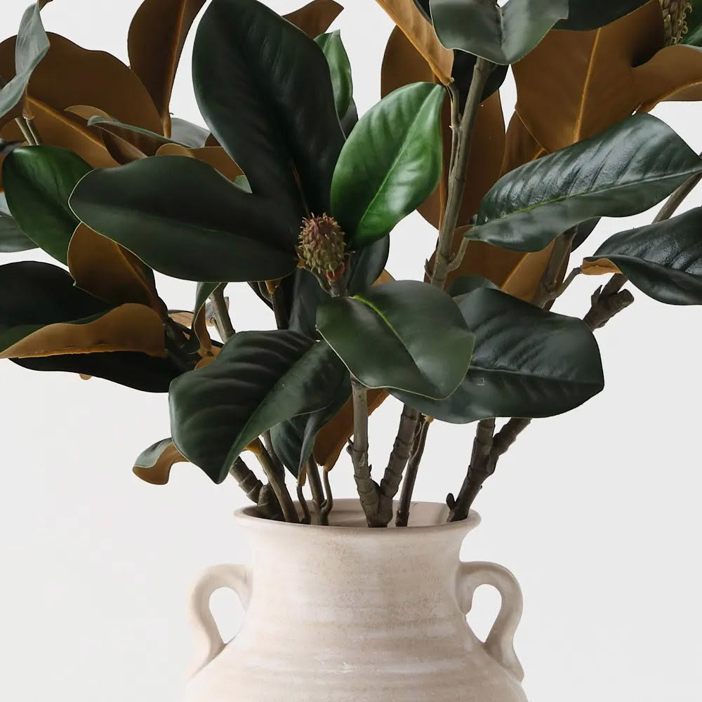 Magnolia-Leaf-Mix-in-Pot